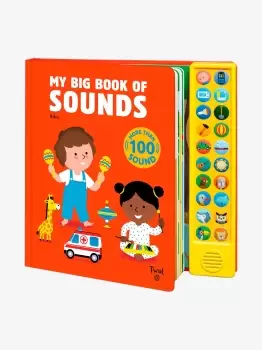 Image of My Big Book of Sounds