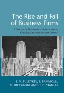 Image of The Rise and Fall of Business Firms : A Stochastic Framework on Innovation, Creative Destruction and Growth