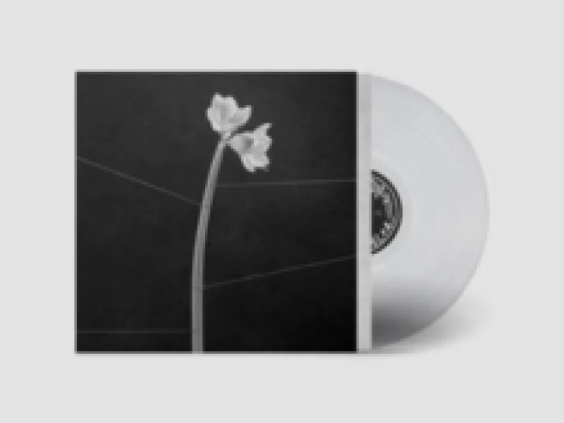 Image of Dreamweaver Vinyl
