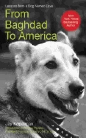 Image of from baghdad to america life lessons from a dog named lava