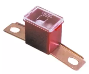 Image of Fuse - Screw Fit Slow Blow - 100A PWN664 WOT-NOTS