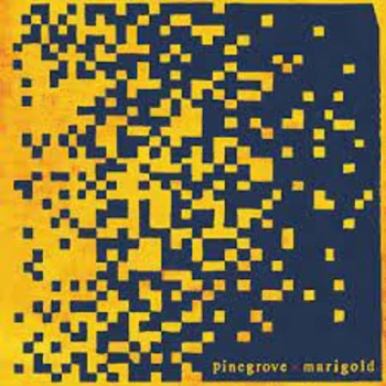 Image of Pinegrove - Marigold Vinyl