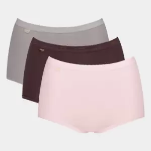 Image of Pack of 3 Basic+ Maxi Knickers in Cotton