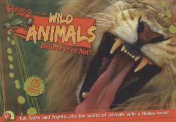 Image of Wild Animals by Camilla De La Bdoyre Hardback