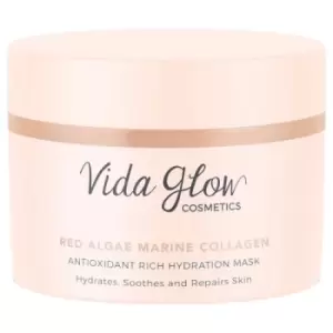 Image of Vida Glow Antioxidant Rich Hydration Mask - 45ml