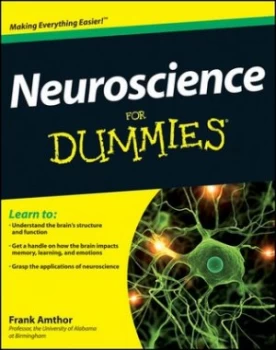 Image of Neuroscience for Dummies by Frank Amthor Paperback