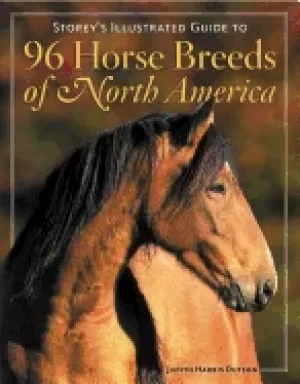 Image of storeys illustrated guide to 96 horse breeds of north america
