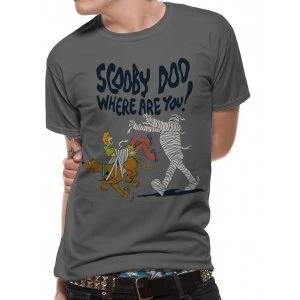 Image of Scooby Doo - Unisex Large Where Are You T-Shirt (Grey)