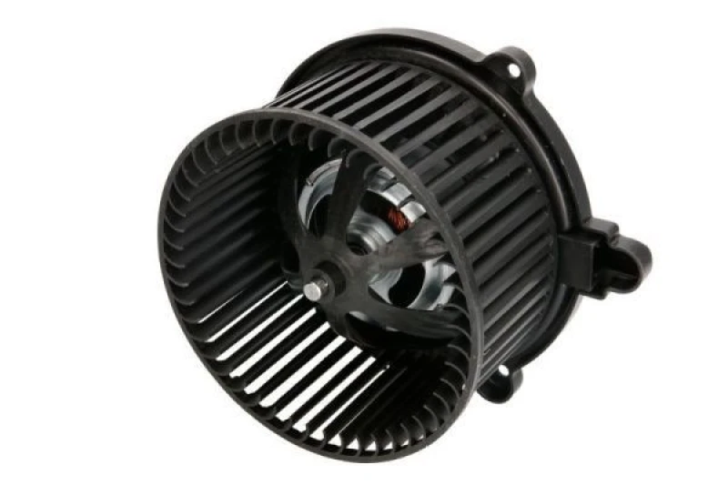 Image of THERMOTEC Blower motor THERMOTEC DD0302TT