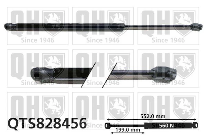 Image of QUINTON HAZELL Tailgate strut QUINTON HAZELL QTS828456