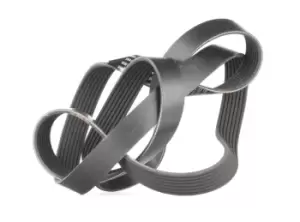 Image of Bosch V-ribbed belt BMW,SUBARU,LAND ROVER 1 987 947 565 11287568247,11287570664,11287628652 11287628653,31110RNA003,31110RNA004,ERR6191,809225020