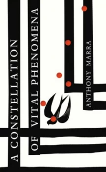Image of A Constellation of Vital Phenomena by Anthony Marra Hardback