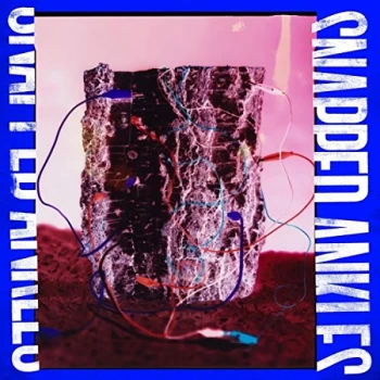 Image of Snapped Ankles - Forest Of Your Problems (The Business Imp Edition) Vinyl