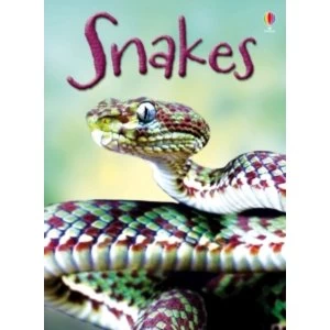 Image of Snakes by James MacLaine (Hardback, 2014)