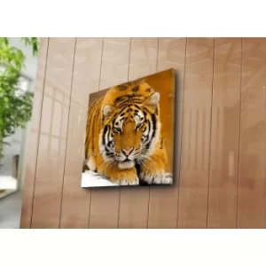 Image of 4545NAT-6 Multicolor Decorative Canvas Painting