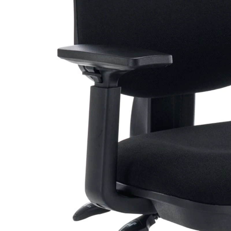 Image of Polaris Nesta Pair of Adjustable Arms Black KF78002