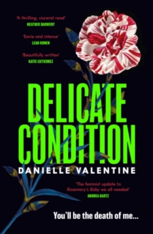 Image of Delicate Condition Hardback