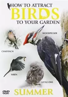 Image of How to Attract Birds to Your Garden: Summer