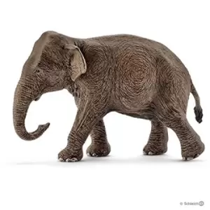 Image of 14753 Wild Life Asian Elephant, Female