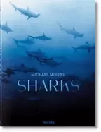 Image of michael muller sharks
