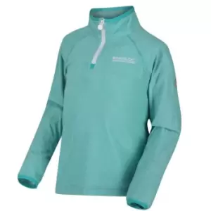 image of Regatta Loco Half Zip fleece - Blue