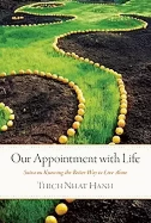 Image of our appointment with life sutra on knowing the better way to live alone