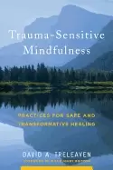 Image of trauma sensitive mindfulness practices for safe and transformative healing