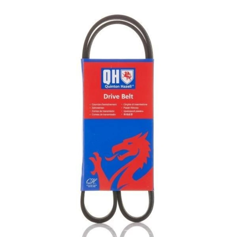 Image of QUINTON HAZELL Serpentine belt QUINTON HAZELL QBR61055