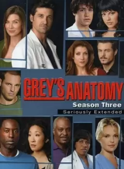Image of Grey's Anatomy: The Complete Third Season - DVD - Used
