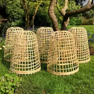 Image of Gardenskill - Bamboo Bell Cloche - Small (pack of 5)