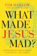 Image of what made jesus mad