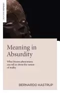 Image of meaning in absurdity what bizarre phenomena can tell us about the nature of