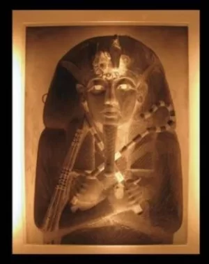 Image of Discovering Tutankhamun by Paul Collins