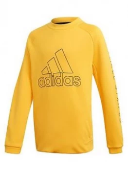 Image of adidas Boys Training Sweat Crew - Yellow, Size 15-16 Years