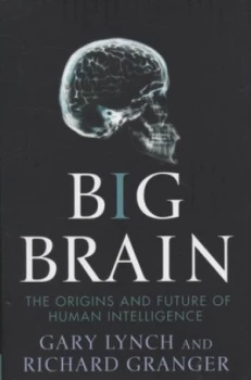 Image of Big Brain by Gary Lynch Hardback