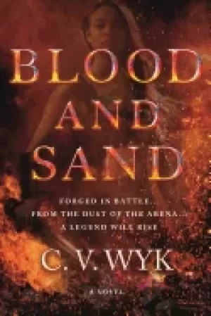 Image of blood and sand