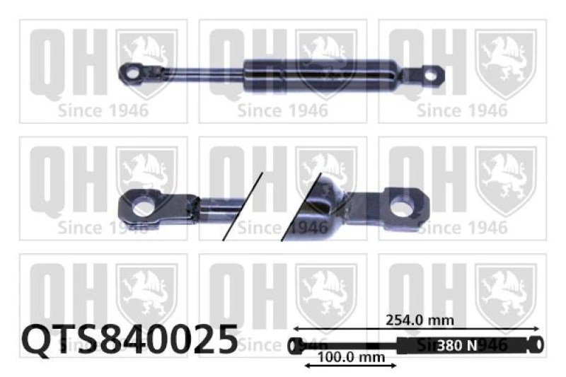Image of QUINTON HAZELL Bonnet strut QUINTON HAZELL QTS840025