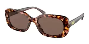 Image of Coach Sunglasses HC8358U 571173