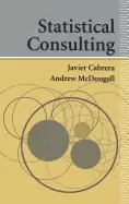 Image of statistical consulting