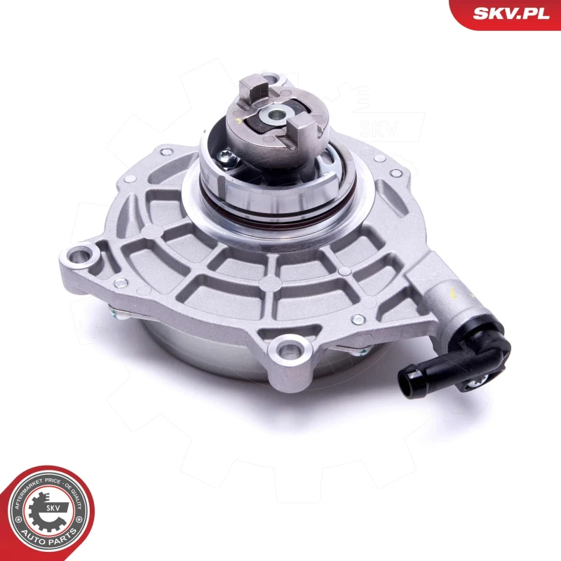 Image of ESEN SKV Brake vacuum pump ESEN SKV 18SKV057