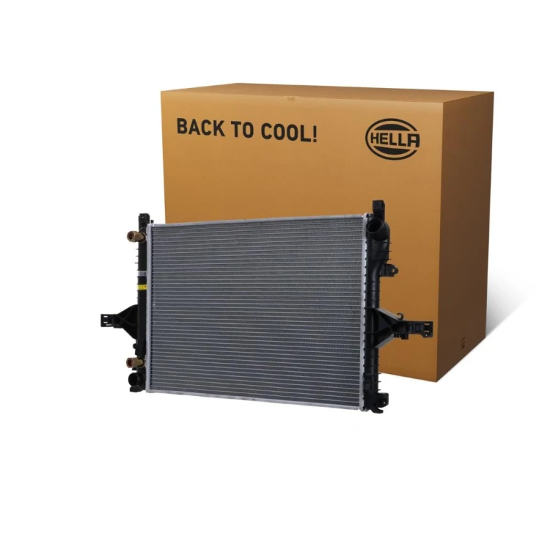 Image of HELLA Engine radiator HELLA 8MK 366 301-031