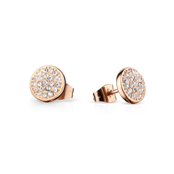 Image of Ladies Bering Arctic Symphony & Charms Earrings