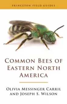 Image of Common Bees of Eastern North America