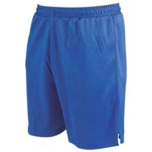 Image of Precision Attack Shorts 34-36" Royal Blue