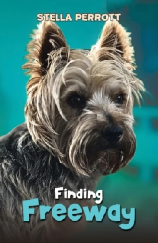 Image of Finding Freeway Paperback / softback