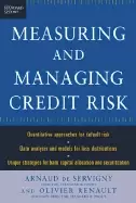 Image of standard and poors guide to measuring and managing credit risk