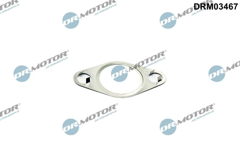 Image of DR.MOTOR AUTOMOTIVE EGR valve gasket DR.MOTOR AUTOMOTIVE DRM03467