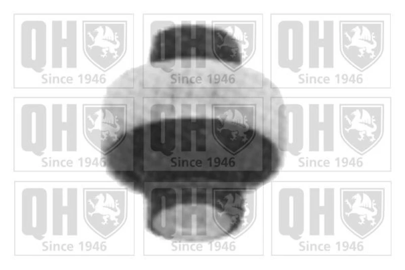 Image of QUINTON HAZELL Trailing arm / Suspension arm bush QUINTON HAZELL EMS8156