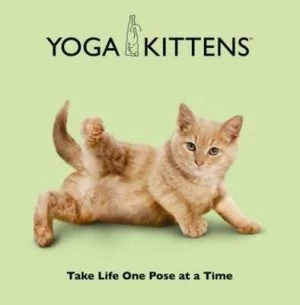 Image of Yoga Kittens Hardback