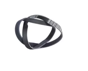 Image of CONTITECH V-ribbed belt FIAT,MINI,ALFA ROMEO 6PK1374 55203815,11280300802,11287545120 55203815,55203815,11280300802,11287545120